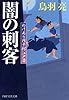 闇の刺客 わけあり円十郎江戸暦 (PHP文芸文庫)