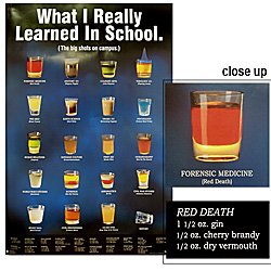 What I Really Learned In School Poster - Casino Supplies > Licensed Products