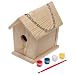 Toysmith Paint-a-Birdhouse Kit