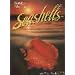 Florida's Fabulous Seashells: And Other Seashore Life