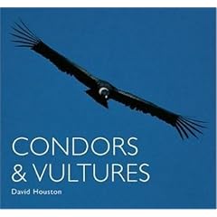 Condors and Vultures (Worldlife Library)