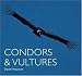Condors & Vultures (World Life Library.)