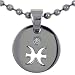 Pisces Necklace Pendant