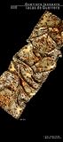 Silk Shawl Guerrero Lacquers in Gold