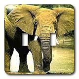 Wild animals - African Elephant - Light Switch Covers - double toggle switch