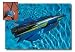 Jet Marine Radio Controlled Boat Water Toy for Swimming Pool & Beach