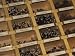 Flies for Fishing Stand in Racks Ready to be Sold in a Store, Telluride, Colorado Artists Photographic Poster Print, 18x24