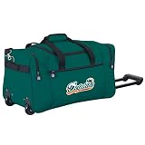 Miami Dolphins NFL 