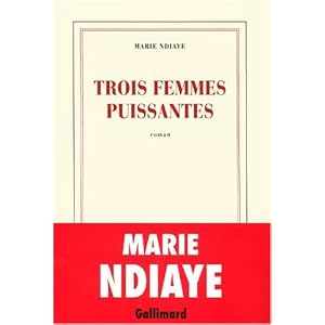 Trois femmes puissantes - Prix Goncourt 2009