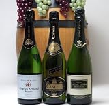 セレクション世界のスパークリングワイン飲み比べ辛口3本セット(スペイン、フランス、イタリア泡ワイン3本セット
