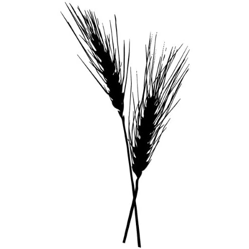 Stampers Anonymous Tim Holtz Red Rubber Stamp Wheat