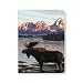 ECOeverywhere Mountain Moose Sketchbook, 160 Pages, 5.625 x 7.625 Inches (sk11763)