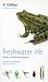 Freshwater Life (Collins Pocket Guide)