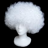 Economy White Afro Wig ~ Halloween 1960s or 1970s Costume Party Wig (STC13042)