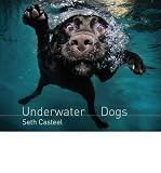 Underwater Dogs (Hardback) By (author) Seth Casteel