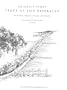 Abigail's Story Tides at the Doorstep: The Mackays, Laroches, Jenkinses, and Chisolms of Low Country, South Carolina, 1671-1897