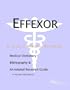 Effexor: A 3 - In- 1 Medical Reference: Medical Dictionary, Bibliography, & Annotated Research Guide