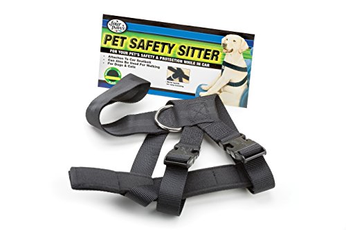 Four Paws Safety Sitter Medium Dog Harness