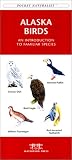 Alaska Birds (Pocket Naturalist)