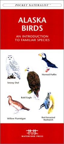 Alaska Birds (Pocket Naturalist - Waterford Press)