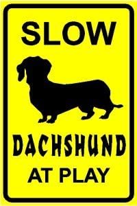 DACHSHUND AT PLAY slow warn dog pet NEW sign