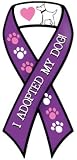 �yAnimalsINK.com�z���{���^�}�O�l�b�g�w���̗��e�ɂȂ�����i���E�p�[�v���j�x