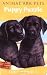 Puppy Puzzle (Animal Ark Pets)