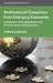 Multinational Companies from Emerging Economies: Composition, Conceptualization and Direction in the Global Economy (International Political Economy Series)