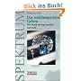 Das wohltemperierte Gehirn: Wie Musik im Kopf entsteht und wirkt