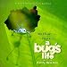 A Bug's Life