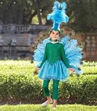 pretty peacock costume