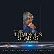 The Luminous Sparks