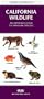 California Wildlife: An Introduction to Familiar Species (Pocket Naturalist)