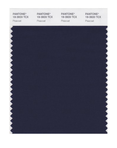 PANTONE SMART 19-3920X Color Swatch Card, Peacoat