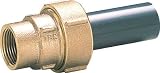ＴＢＣ　塩ビ伸縮継手メネジ２５ｍｍ　2822466 25EGV