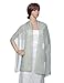 Remedios Light Weight Chiffon Sheer Evening Dress Shawl Scarves