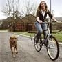 Springer Bicycle Jogger