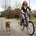 Springer Bicycle Jogger