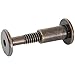 Statuary Bronze Connector Bolts - 2