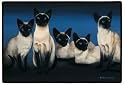 Doormat - X31 Siamese Kings of the East - 18" x 27" Indoor/Outdoor Designer Mat