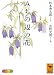 みちの辺の花 (講談社学術文庫)