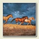 Thunder Ridge Wild Horses Western Absorbastone Coasters Coaster Set Set/4
