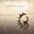 Casting Crowns