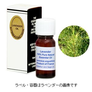 バターバー&セージ社　エッセンシャルオイル（アロマオイル）　ティートリー　50ml