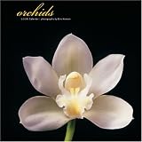 Orchids 2006 Wall Calendar