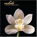Book Orchids 2006 Wall Calendar