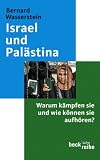 Israel und Pal�stina: Warum k�mpfen sie und wie k�nnen sie aufh�ren?