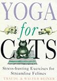 Yoga for cats
