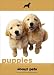 Puppies (About Pets) Puppies (About Pets)
