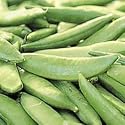 Sugar Ann Snap Pea - Seed Packet